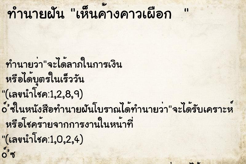 ทำนายฝันทำนายฝันเห็นค้างคาวเผือก